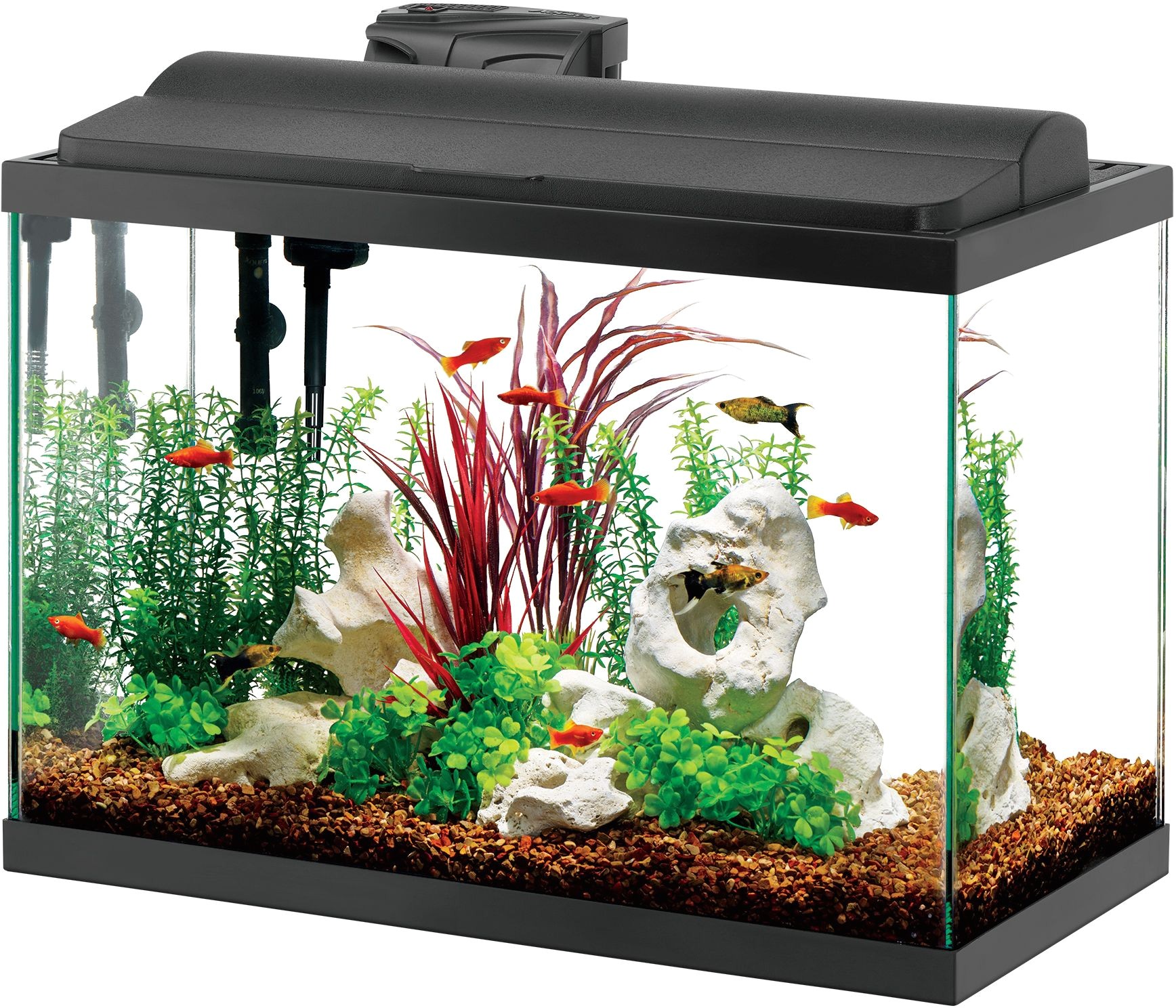 Детский аквариум купить. Аквариум (Fish Tank) 2009. Аквариум 9 л. Аквариум напольный. Открытые аквариумы.
