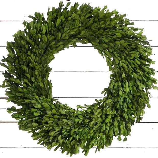 6 Inch Preserved Boxwood Wreath wholesale Large Boxwood Wreath Preserved Boxwood Wreath Large Faux