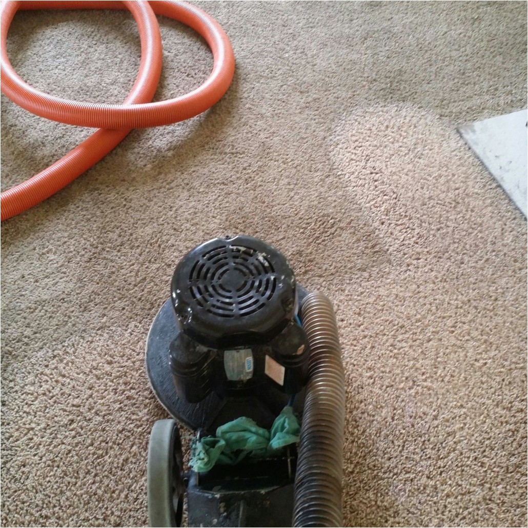 carpet cleaning