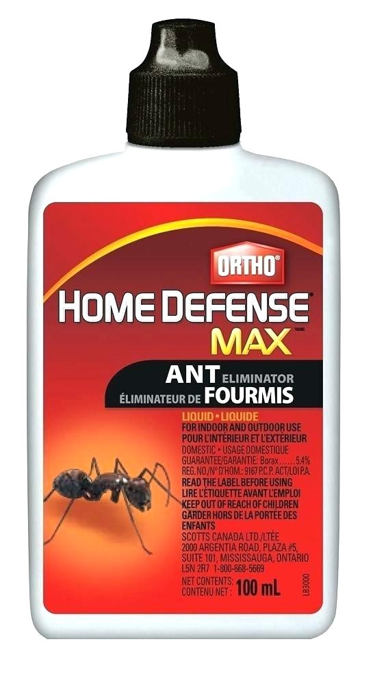 maxforce ant bait carpenter ant bait home depot best indoor killer odorous house ants accepting gel label maxforce granular ant bait label