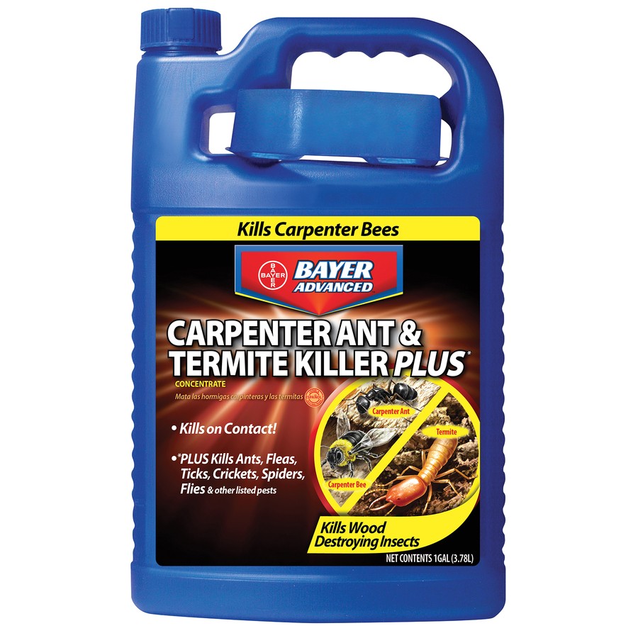 Advance Carpenter Ant Bait Lowes Shop Bayer Advanced 1 Gallon Carpenter Ant Termite