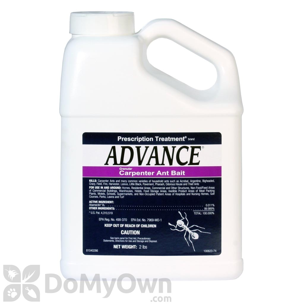 advance carpenter ant bait lb p 543