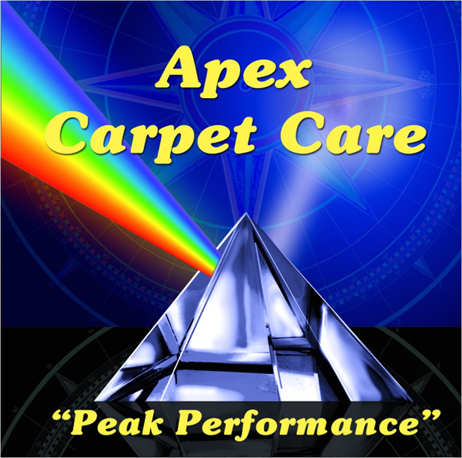 Apex Carpet Cleaning Summerville Sc Carpet Cleaning Charleston Sc Upholstery Cleaning