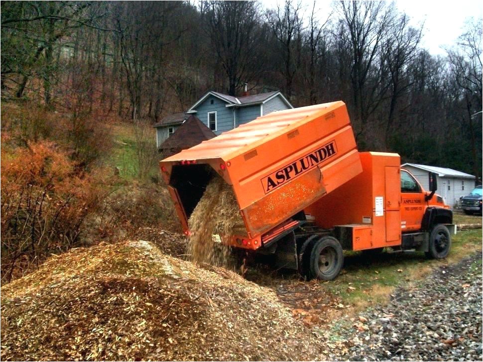 asplundh free wood chips