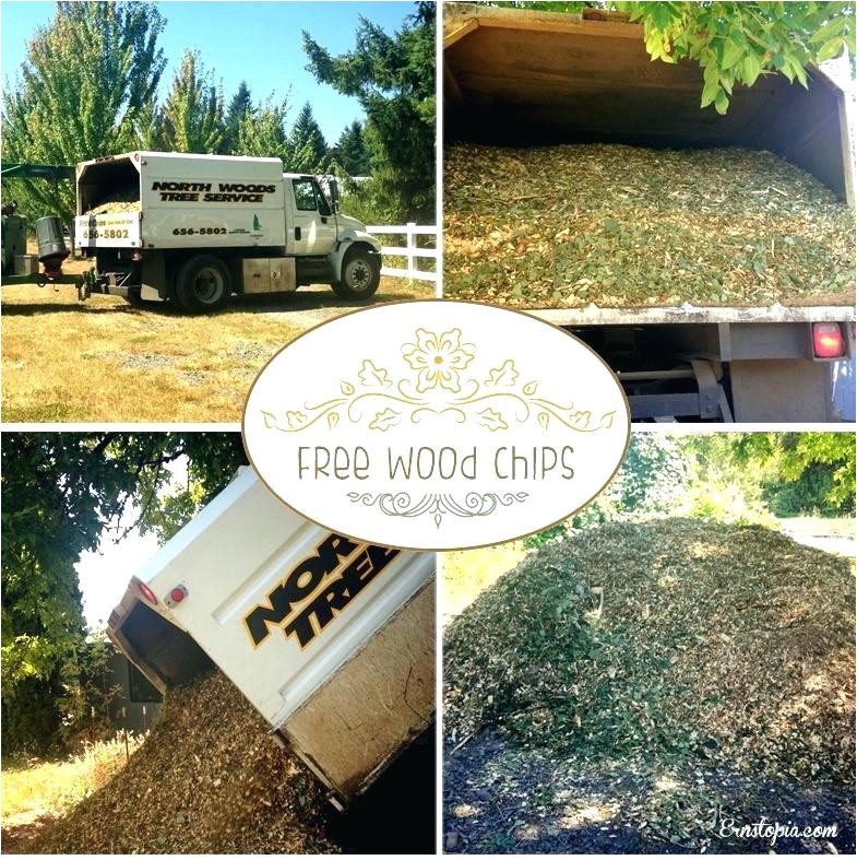 asplundh free wood chips