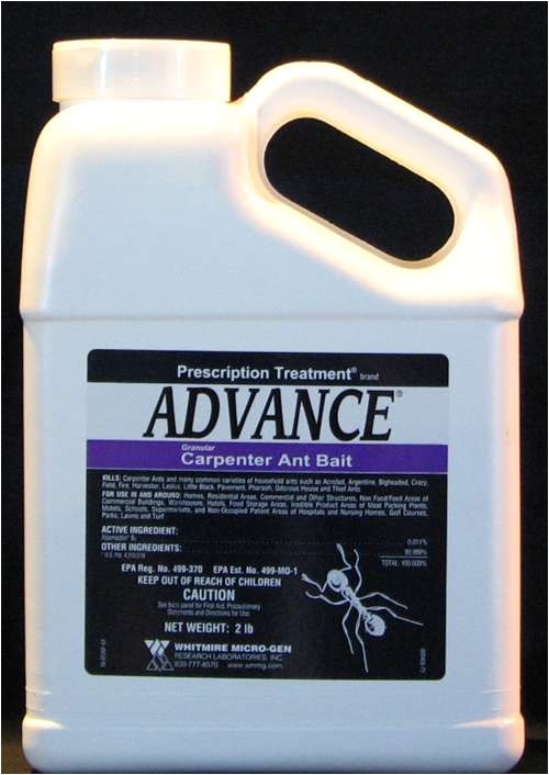 Basf Advance Carpenter Ant Bait Advance Carpenter Ant Bait Pest Control Supplies
