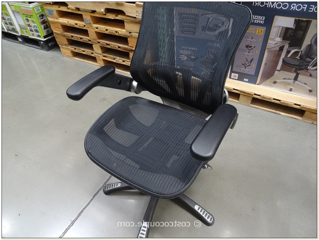 bayside metrex mesh office chair instructions