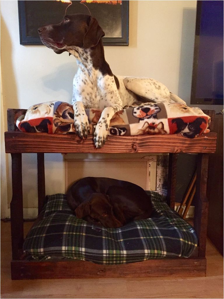 Bedside Platform Dog Bed for Sale Bedroom Doggie Dilemma Bed Bedside Platform Dog Bed for