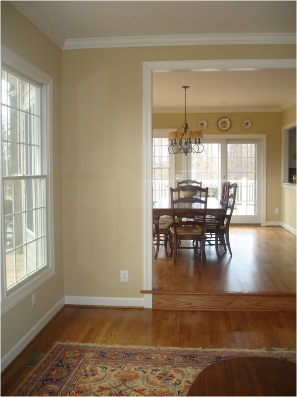 Benjamin Moore Powell Buff Undertones Pittsfield Bluff by Benjamin Moore Favorite Paint Colors