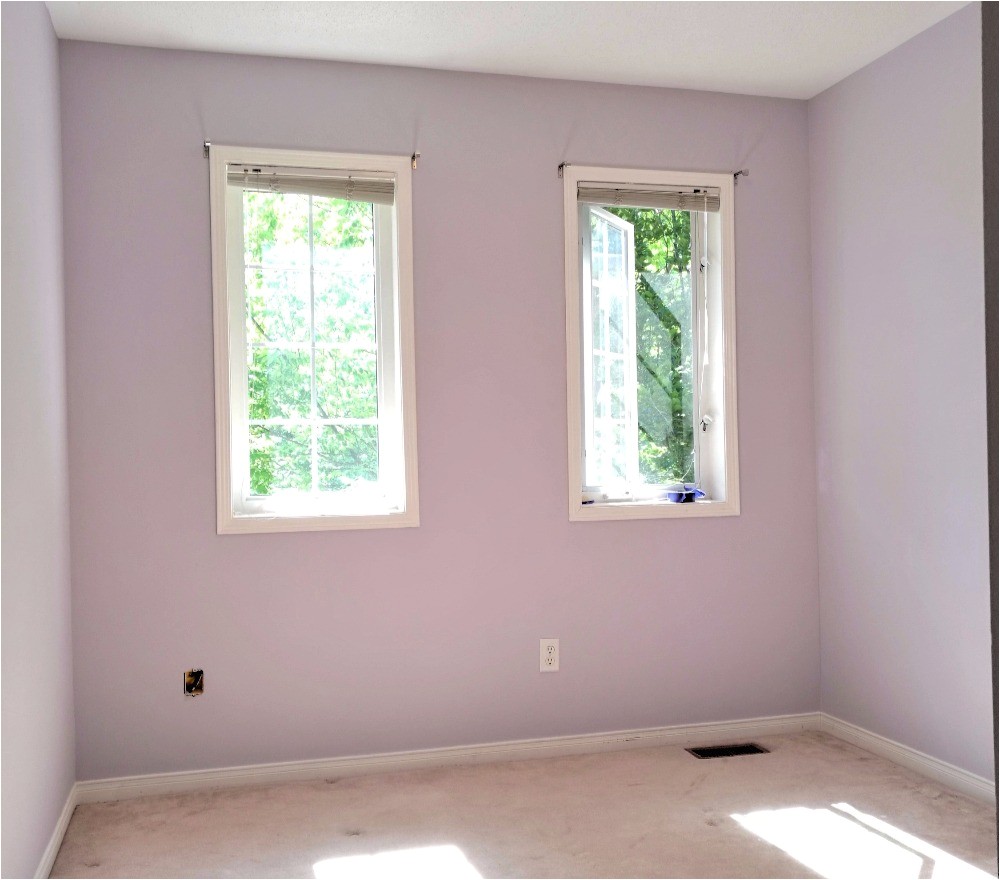 popular benjamin moore sherwin williams paint colors grays