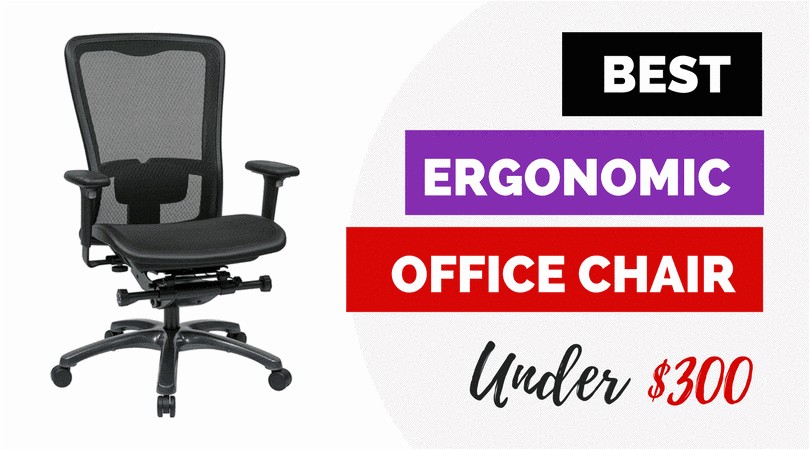 Best Ergonomic Office Chair Under $300 Best Ergonomic Office Chairs Under 300 for 2018 Reviews