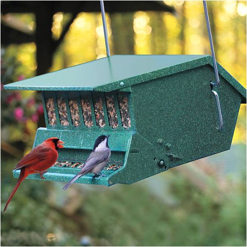 Birds Choice Bird Feeders Bird Feeder Christmas Gifts for the Home