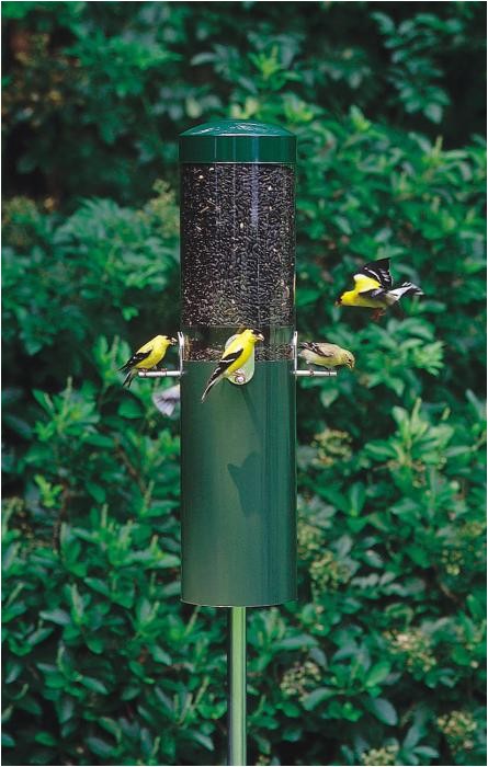 Birds Choice Classic Bird Feeder with Built-in Squirrel Baffle Birds Choice Classic Bird Feeder with Built In Squirrel