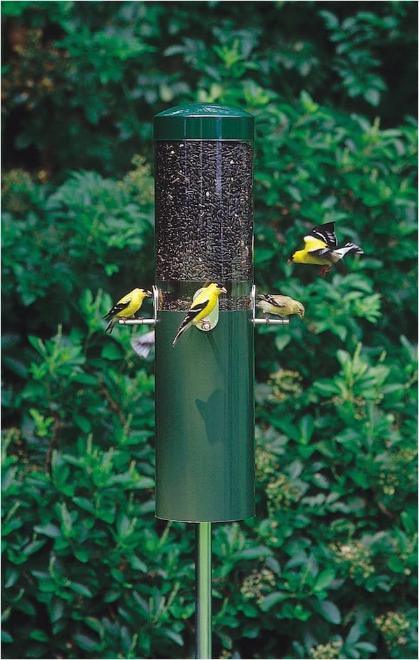 Birds Choice Classic Bird Feeder with Squirrel Baffle and Pole Birds Choice Classic Feeder with Squirrel Baffle and Pole