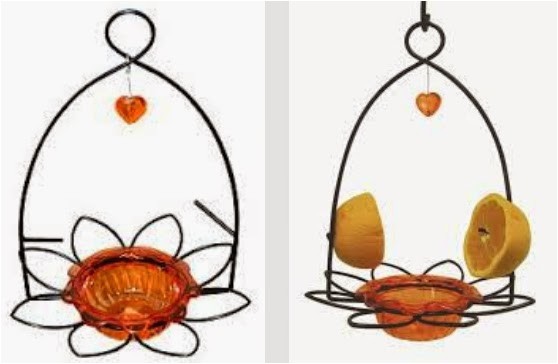 Birds Choice Flower oriole Bird Feeder Small orange Wild Birds Unlimited Mid Michigan Latest Posts