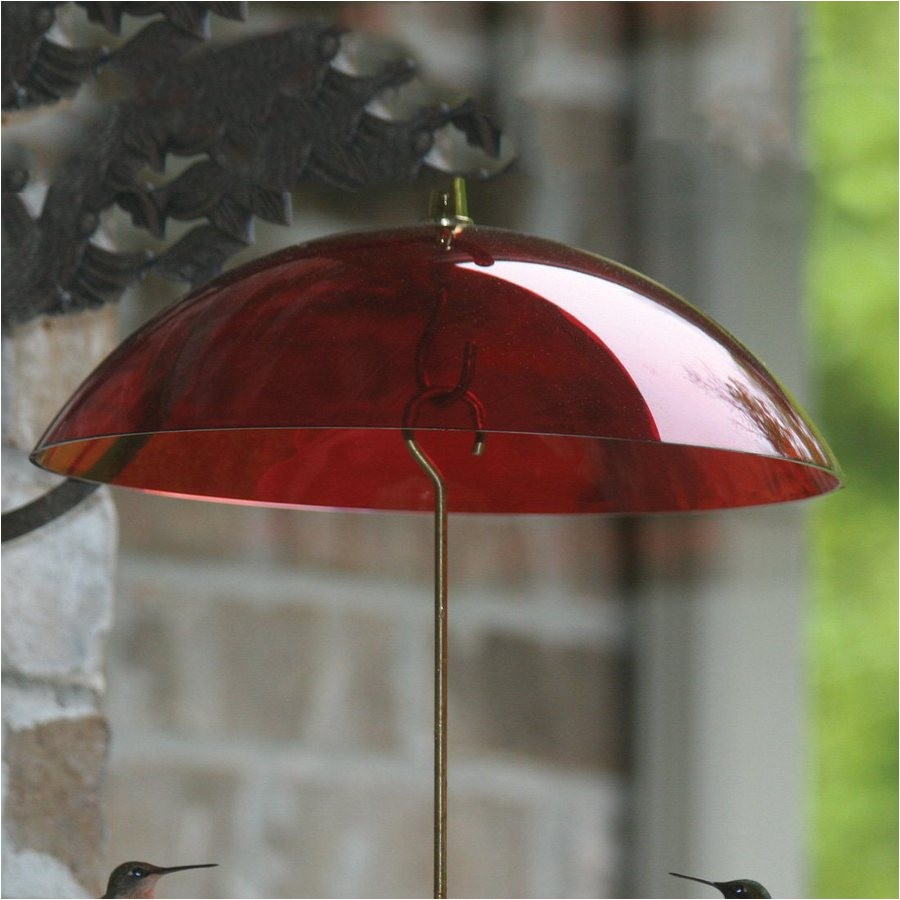 Birds Choice Red Plastic Bird Feeder Weather Guard Shop Birds Choice Red Plastic Bird Feeder Weather Guard at