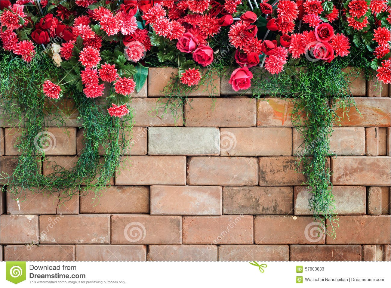 Blossoms On the Bricks Flowers On the Brick Wall Stock Image Image Of Background