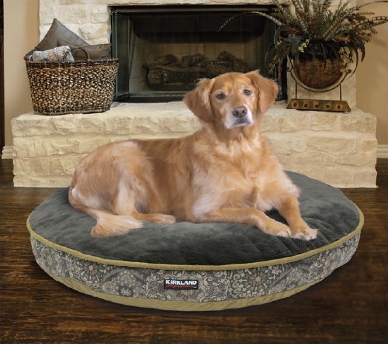 costco dog bed custom costco uk kirkland signature x bolster dog fd40a455589659da