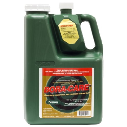 bora care with mold care 1 gallon 608794