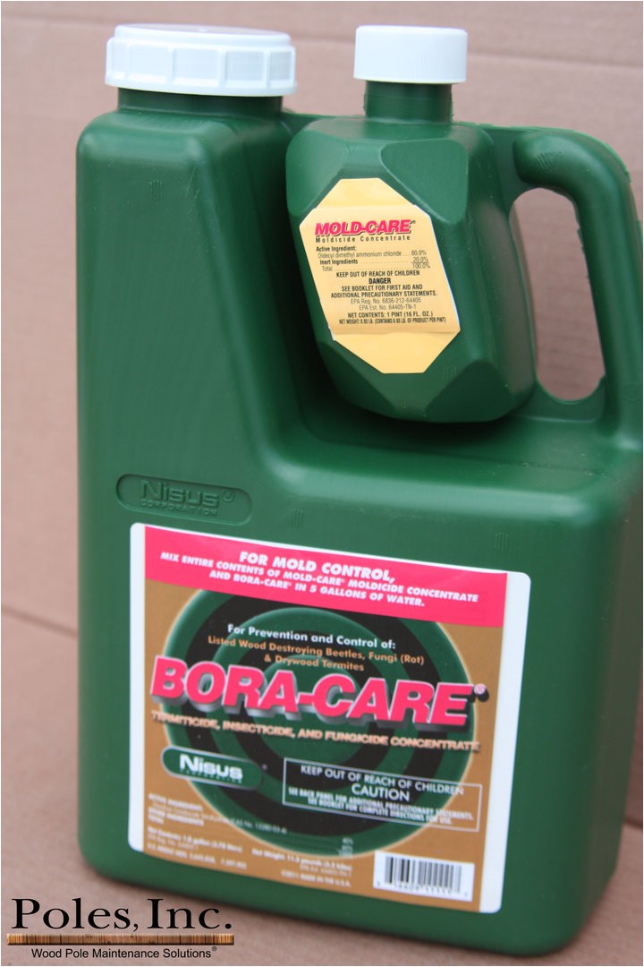 Bora Care with Mold Care Bora Care with Mold Care 1 Gallon Jug From Poles Inc