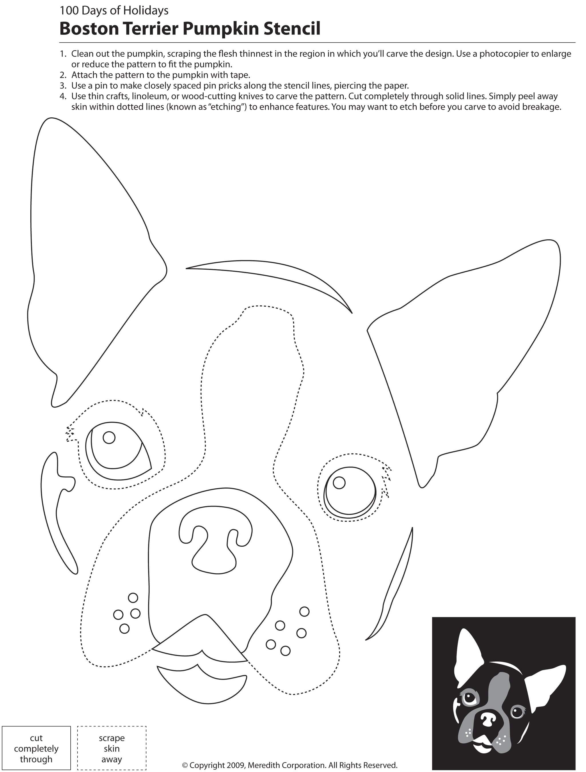 Boston Terrier Pumpkin Stencil 22 Free Pumpkin Carving Dog Stencils Breed Specific