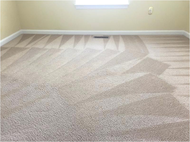 royalty carpet cleaning midlothian va