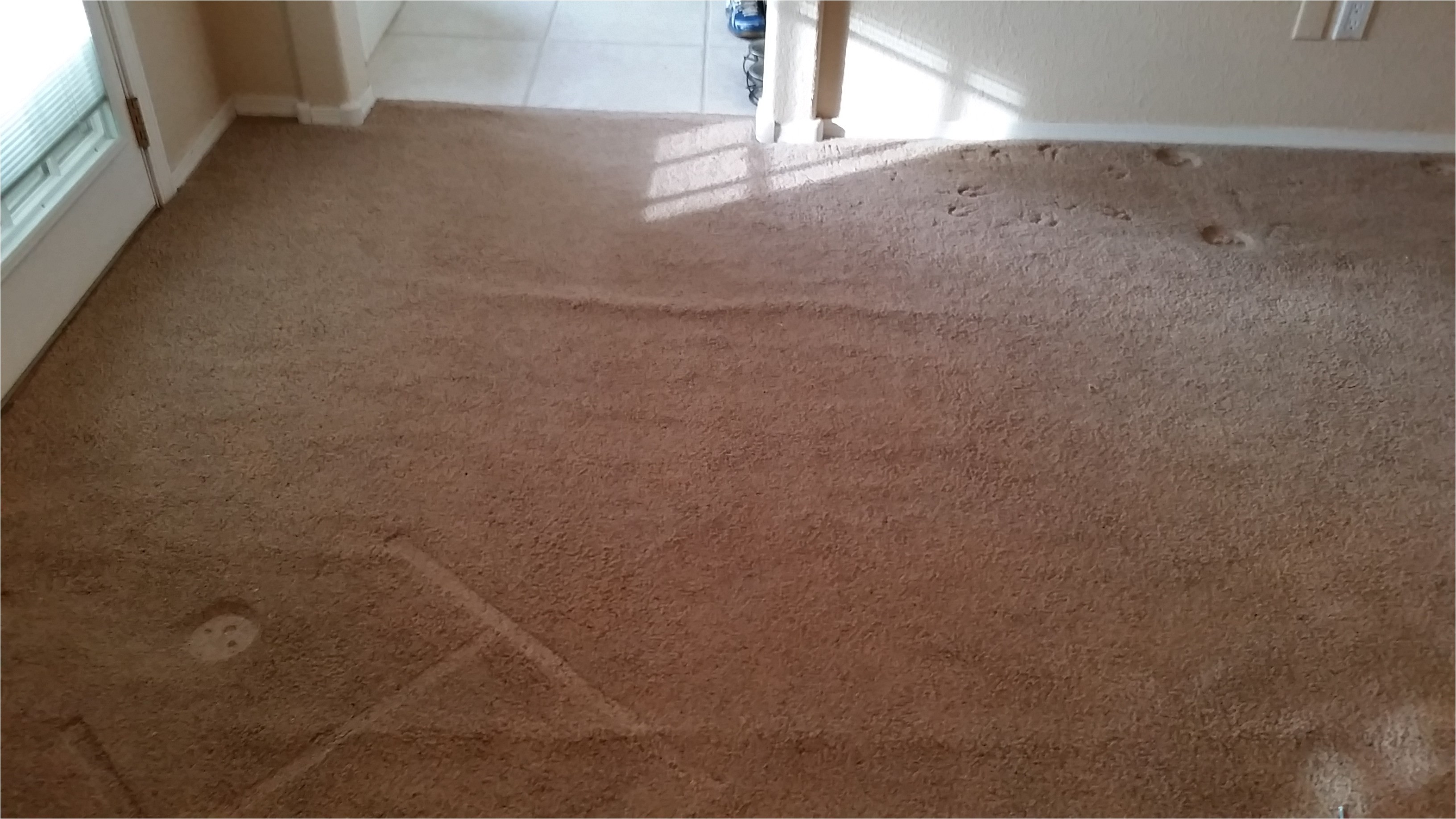 rio rancho carpet restretch