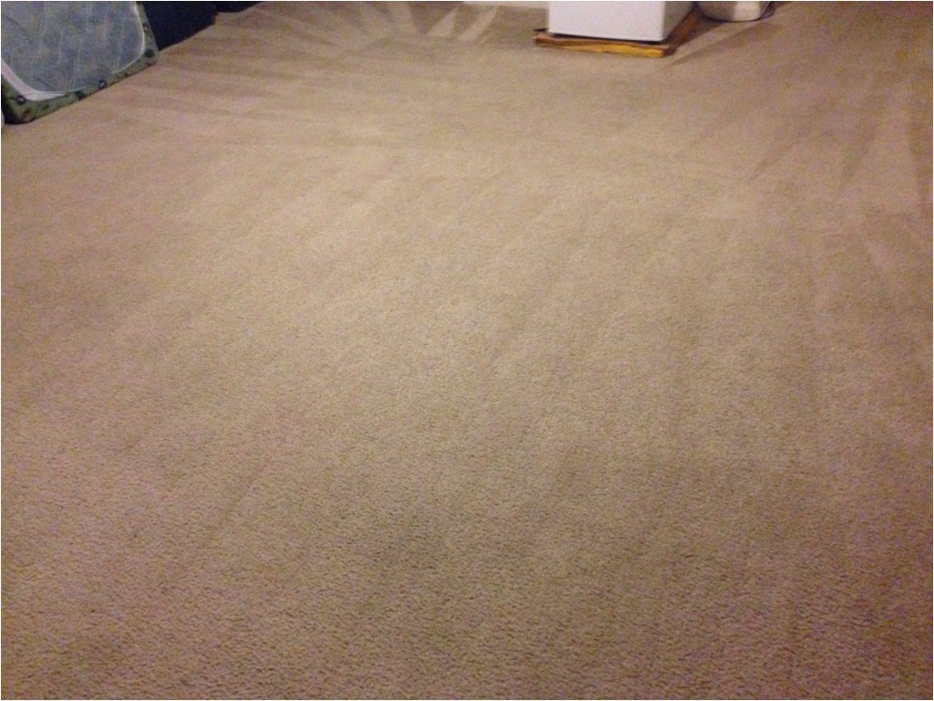 carpet cleaning fredericksburg va