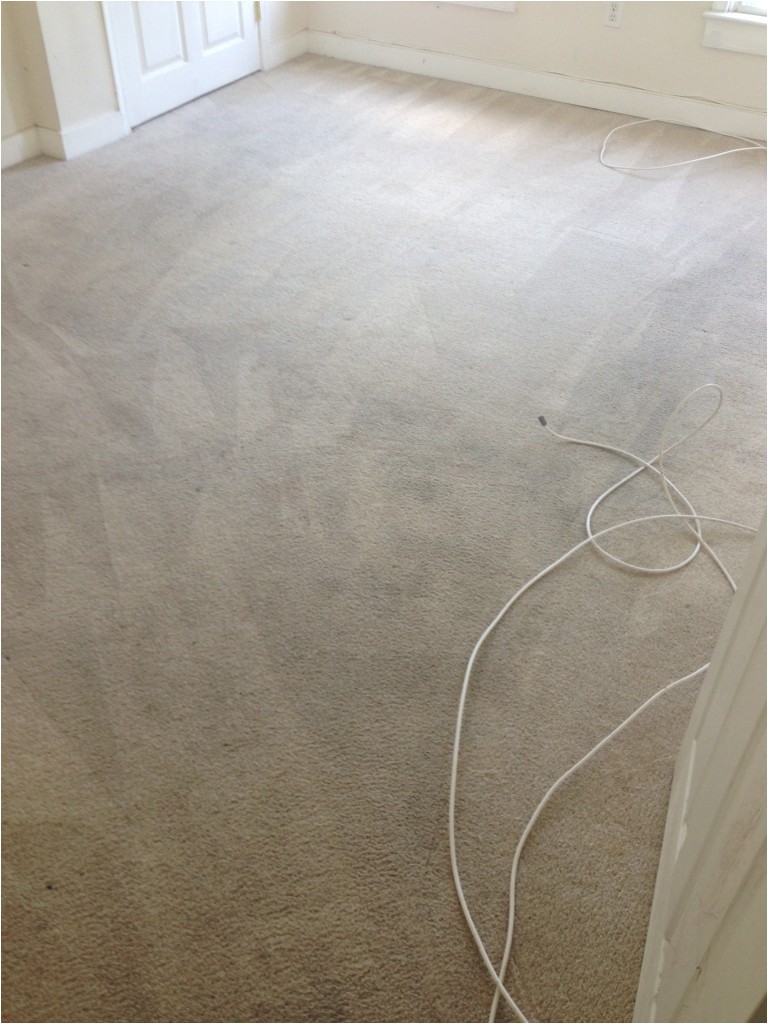 carpet cleaning fredericksburg va