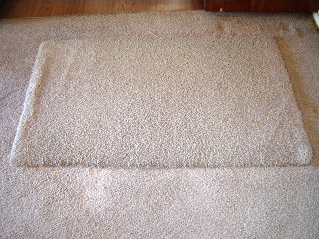 carpet