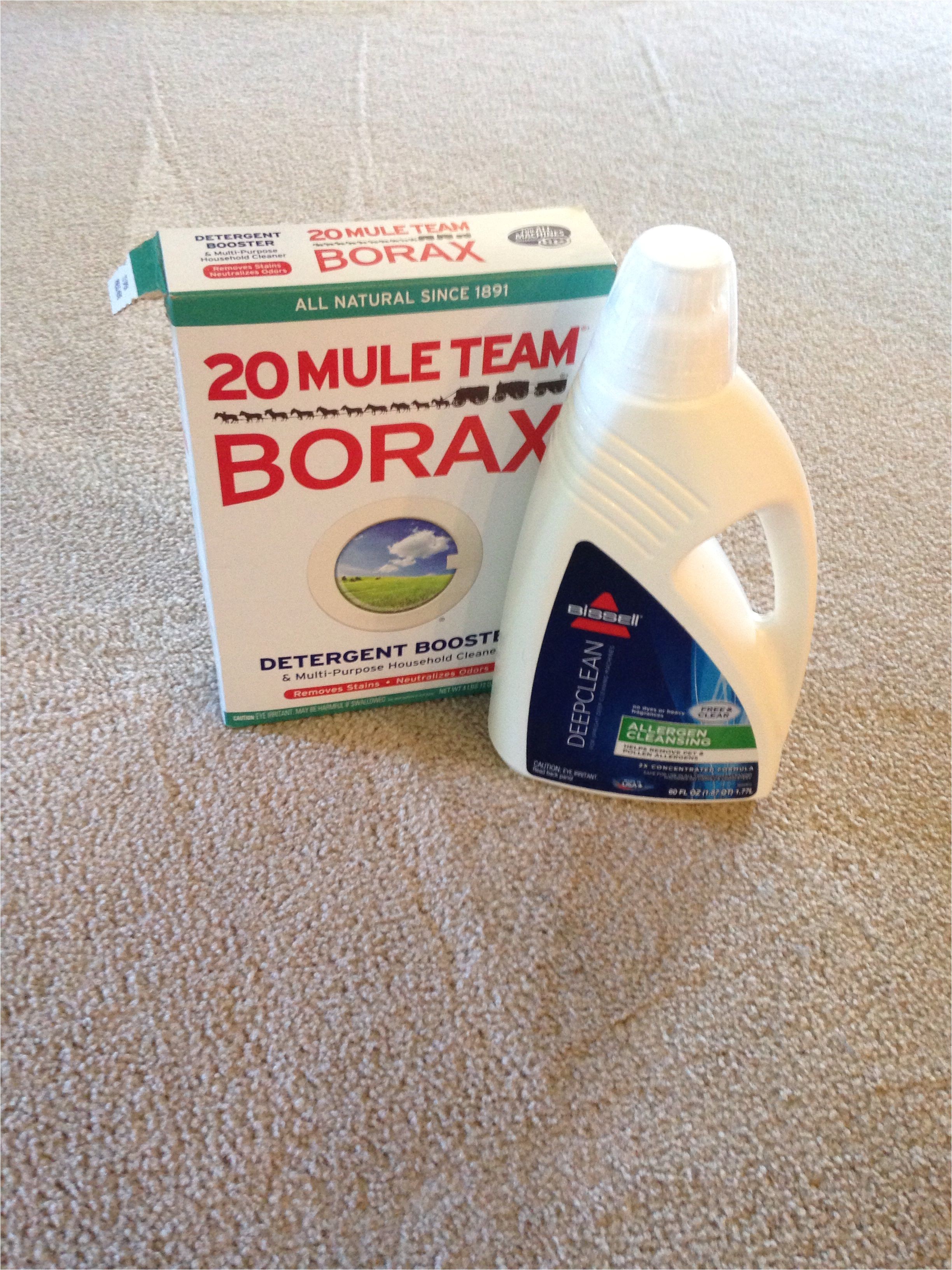 dry carpet cleaning products best of the best carpet cleaning solution for pet stains and eliminates