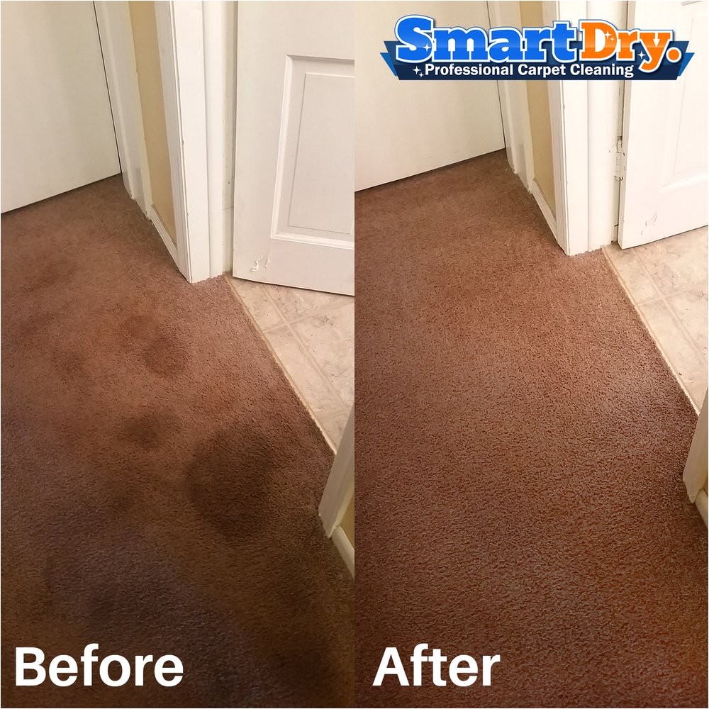 smart dry carpet cleaning 97 photos carpet cleaning 8920 activity rd san diego ca phone number yelp