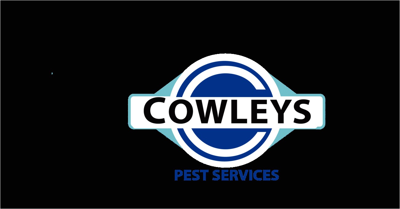 Central Pest Control toms River Nj Pest Control Services Extermination Company In Mercer Ocean