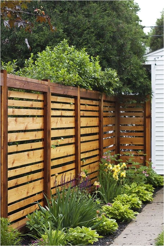 Cheap Privacy Fence Ideas 20 Cheap Privacy Fence Design and Ideas Fomfest Com