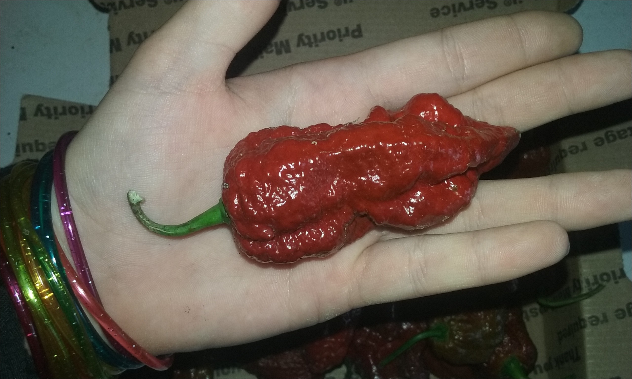 chocolate bhutlah seeds 20