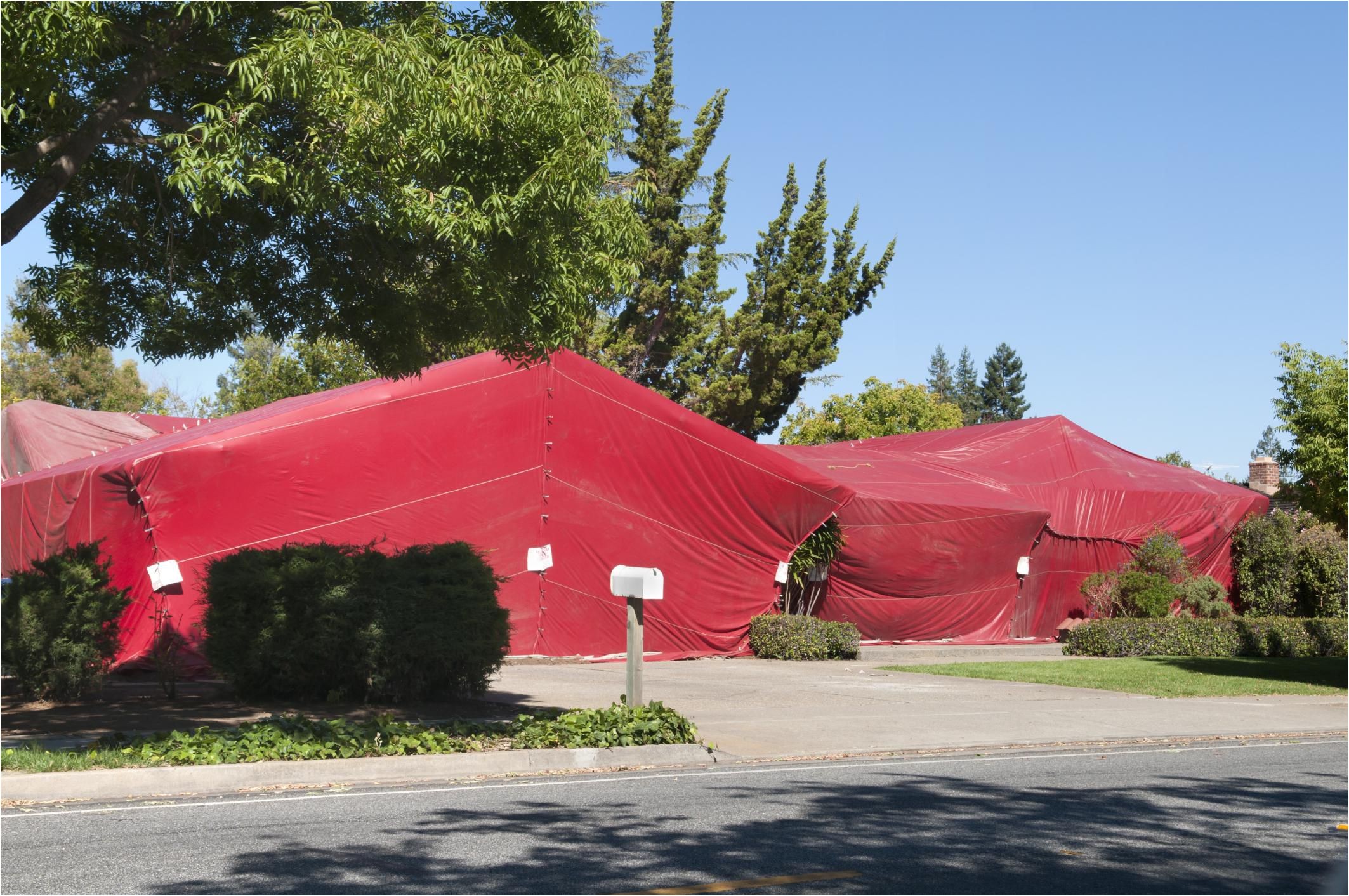 Cleaning after Tenting for Termites How to Prepare for Tent Fumigation Of Your Home