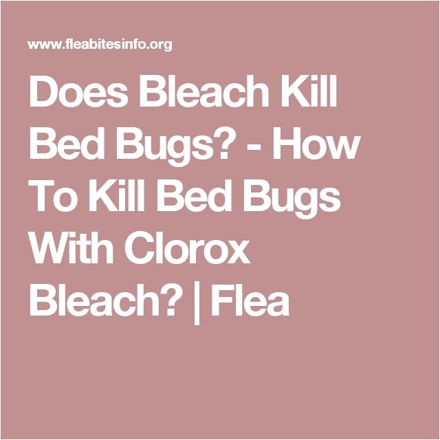 killing bed bugs