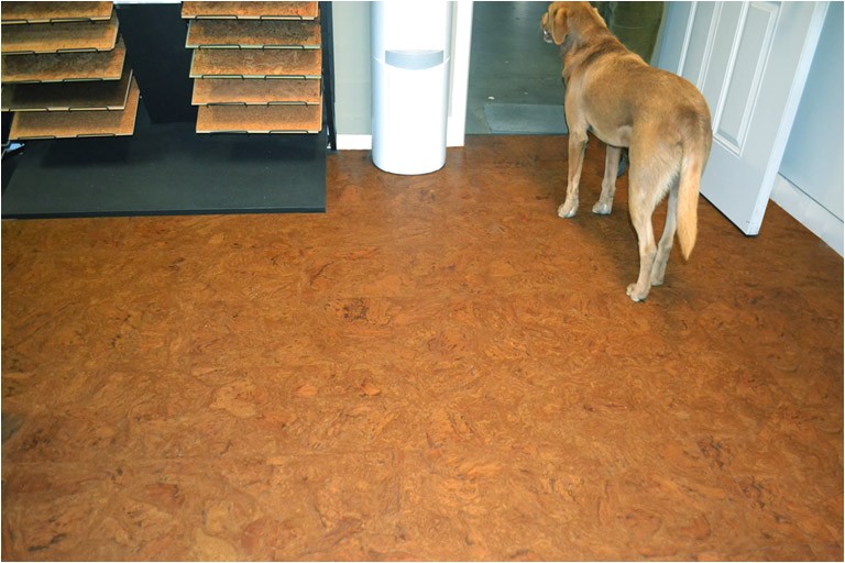 Cork Flooring Good for Dogs Best Flooring for Dogs Quiet Corner