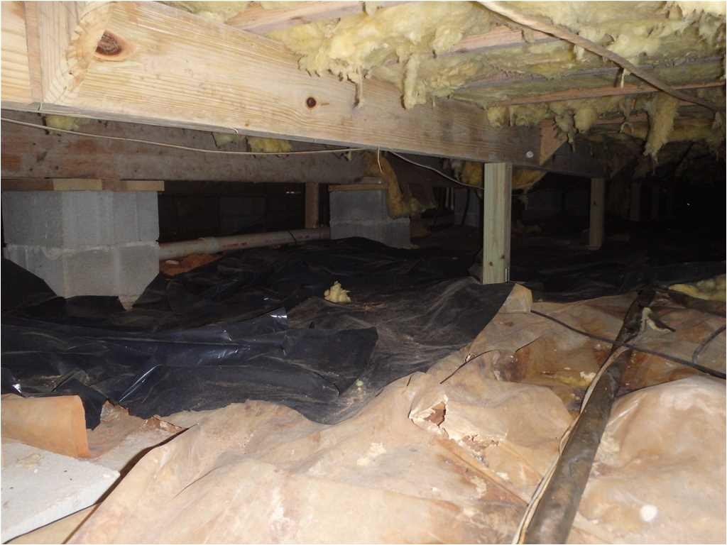 crawl space repair