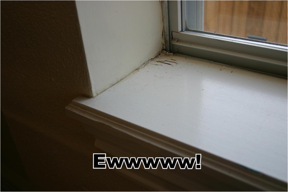 window sills