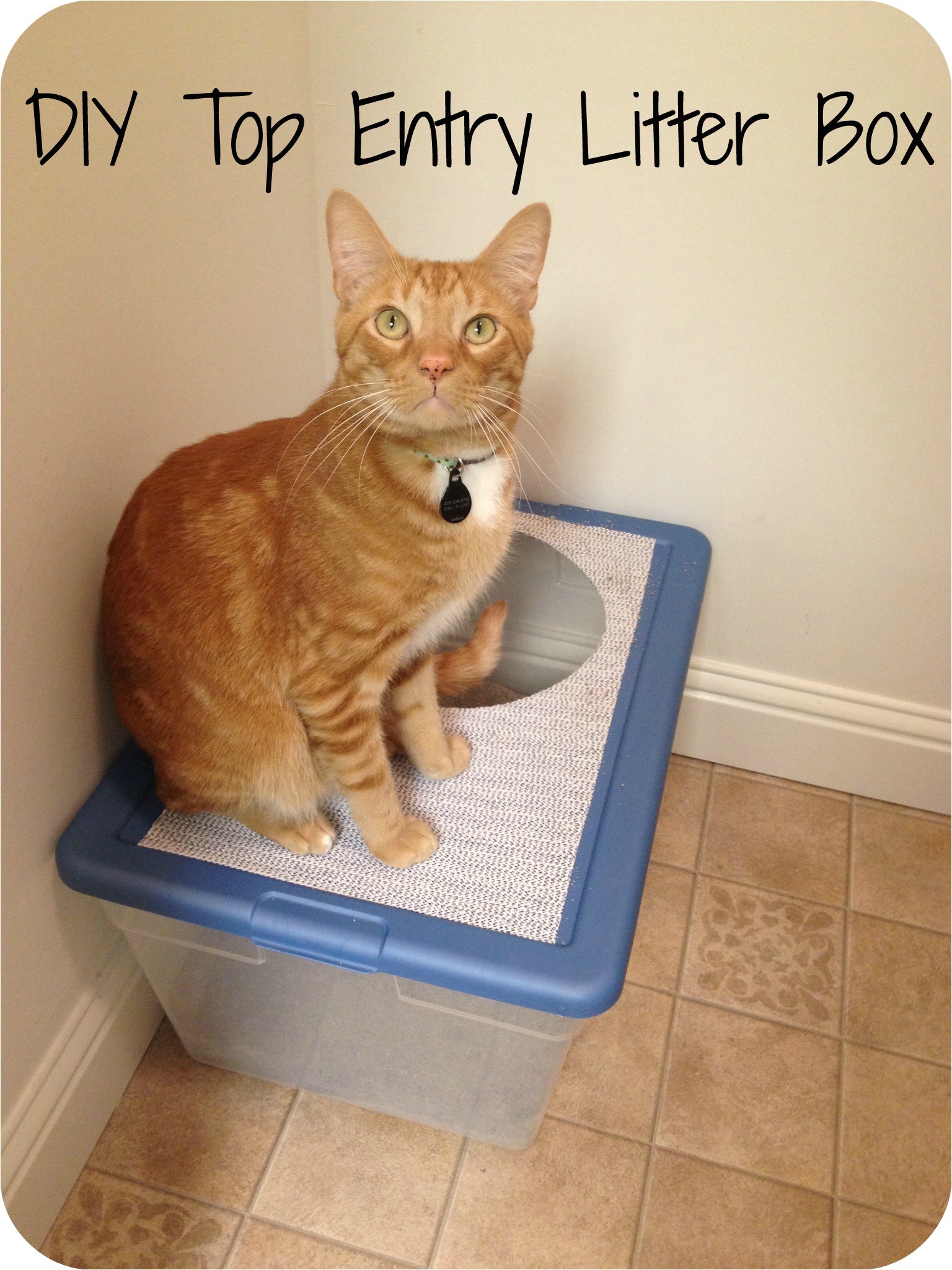 Diy top Entry Litter Box Diy top Entry Litter Box Makeover Meow