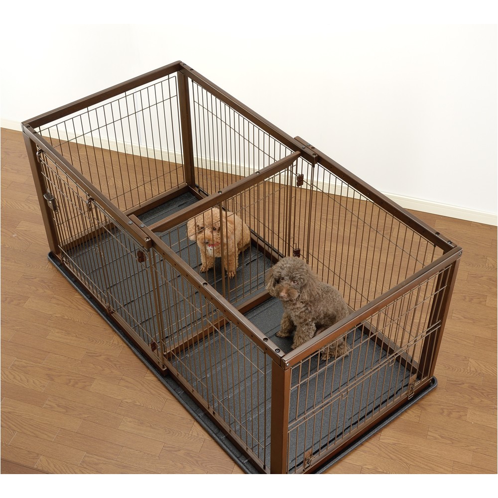 Dog Crate Divider Diy Divider Amusing Dog Crate with Divider Plastic Dog Crate