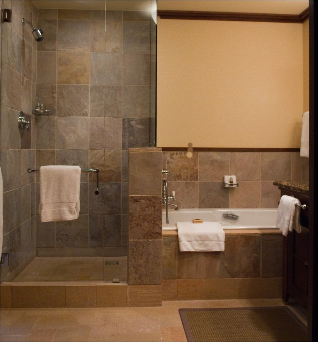 Doorless Shower Pros and Cons Pros and Cons Of Having Doorless Shower On Your Home