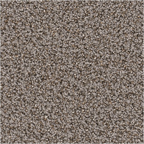 dreamweaver nylon carpet reviews