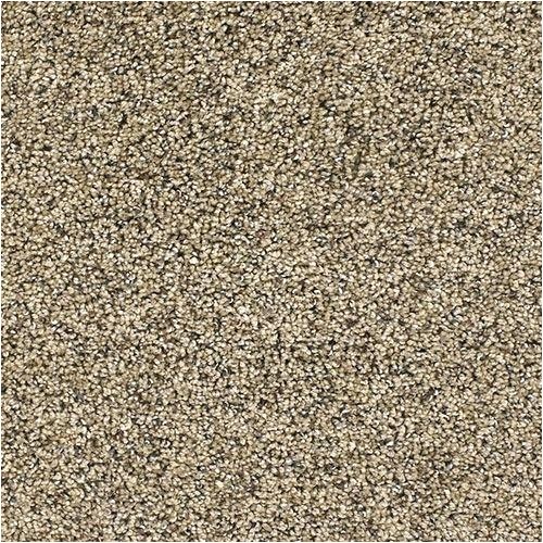 Dreamweaver Polyester Carpet Reviews Dreamweaver Polyester Carpet Reviews Www Resnooze Com