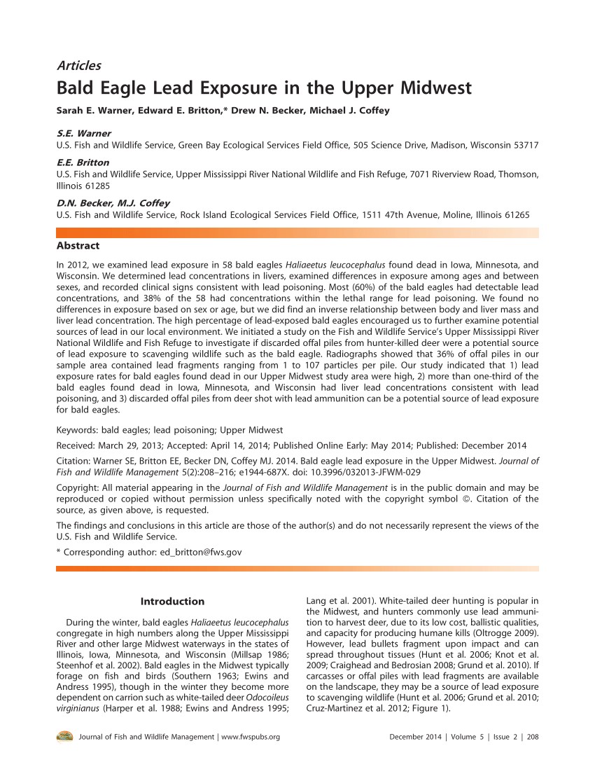 pdf lead fishing sinkers and jigs in canada review of their use patterns and toxic impacts on wildlife