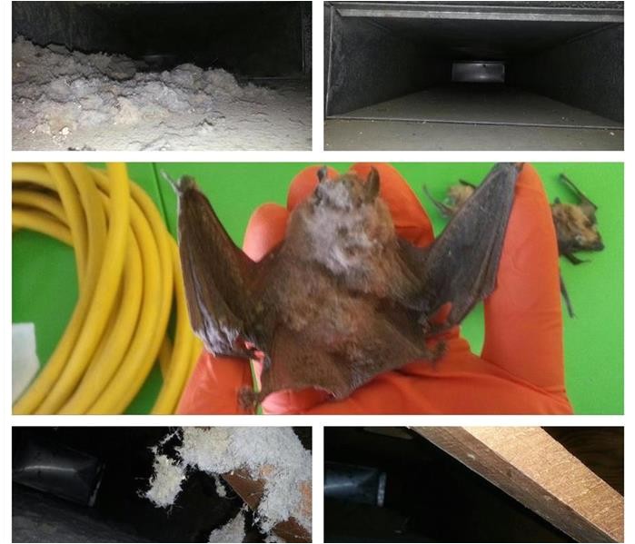 duct cleaning