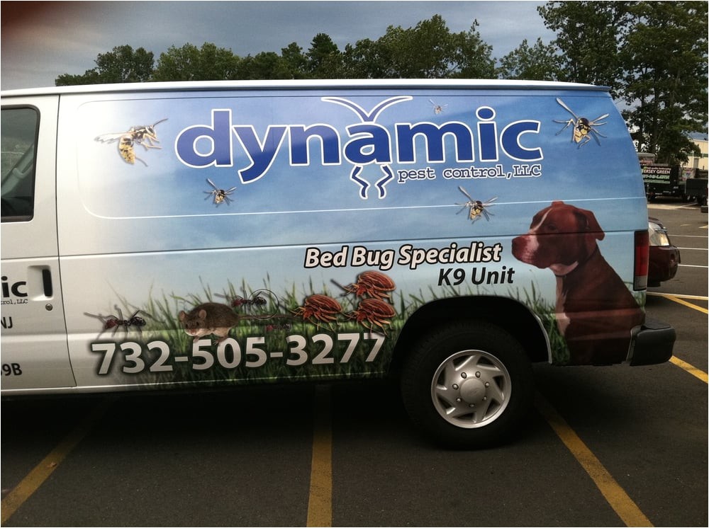 dynamic pest control toms river