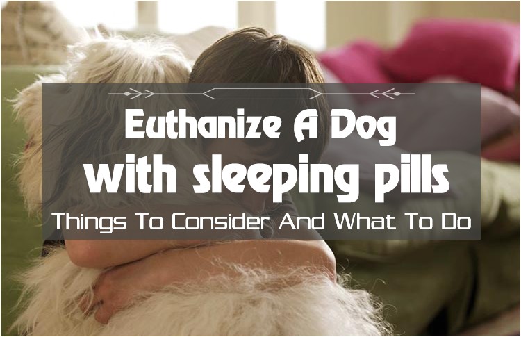 how to euthanize a dog with sleeping pills