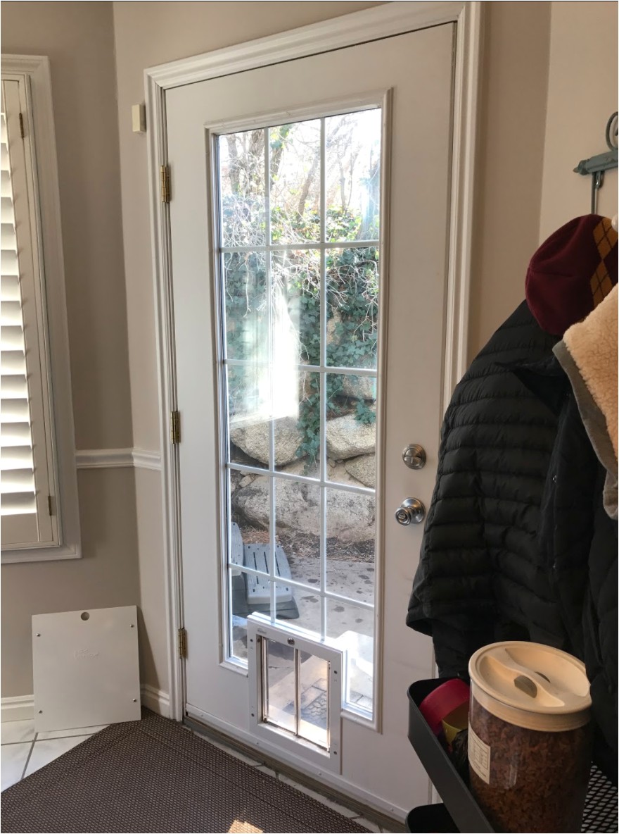 marvellous french doors with dog door